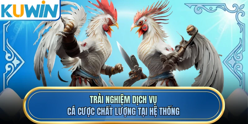 Trải nghiệm dịch vụ cá cược chất lượng tại hệ thống